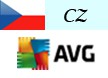 J2SE Developer - AVG - CZ